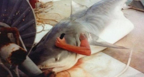 Rybár bodá žraloka do hlavy