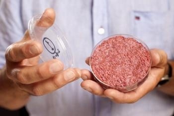 Prvý hamburger vyrobený z mäsa vypestovaného v univerzitnom laboratóriu z buniek v Petriho miskách