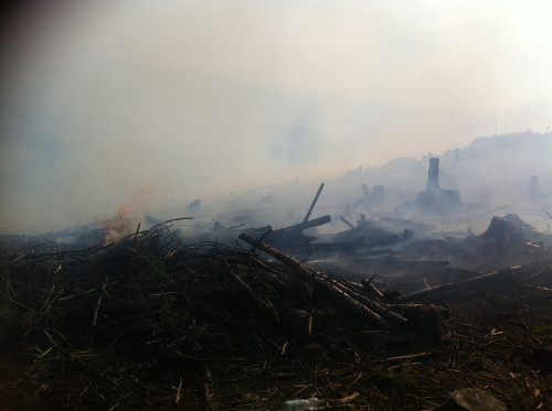 Lesný požiar v ťažko prístupnom teréne nad Betliarom
