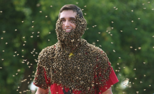 V Kanade sa uskutočnil deviaty ročník súťaže včelích brád