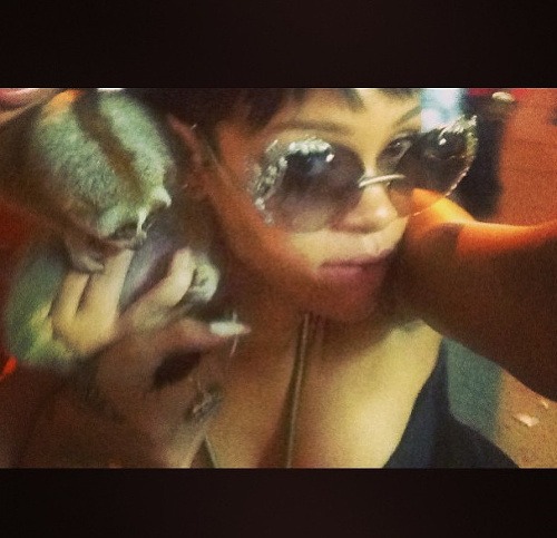 Rihanna sa odfotila s chránenou poloopicou