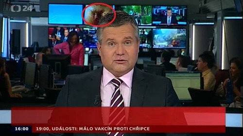 Retušované. Vo vysielaní Českej televízie sa objavil nahý penis. 