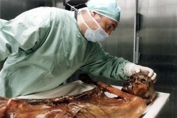 Ötzi, ľadový muž z praveku, objavený v Alpách. 