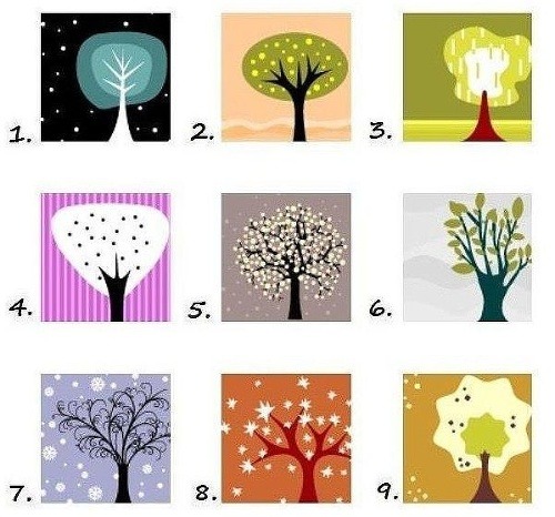 Ktorý strom je váš?