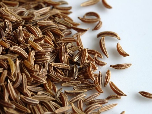 Rasca je jednou z najstarších korenín sveta