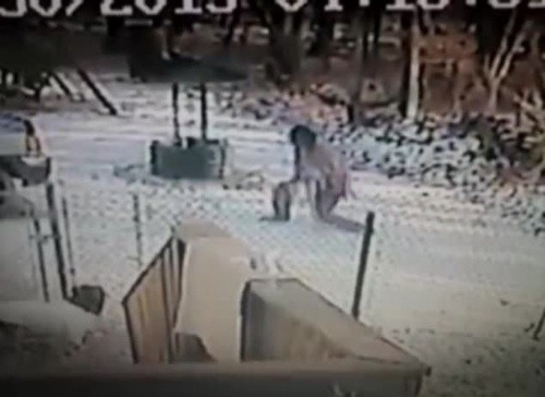 Mačka sa na ženu doslova vrhla a zhodila ju na zem.