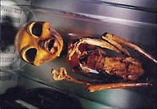 Ilustračný obrázok