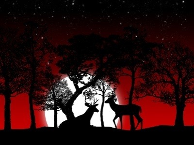 Mesiac má vo svojej najsilnejšej fáze – splne, veľkú moc aj na nás  