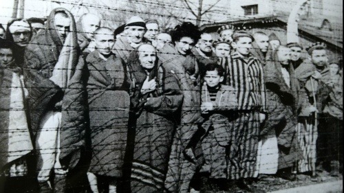 Väzni v Osvienčime.