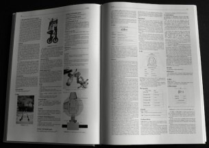 Z Wikipedie bude kniha s milión stranami