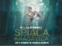 SPIACA KRÁSAVICA