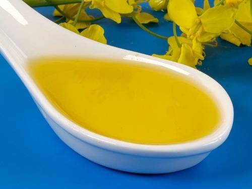 Repkový olej je údajne škodlivý!