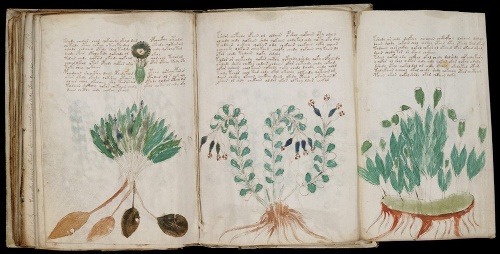 Voynichov rukopis