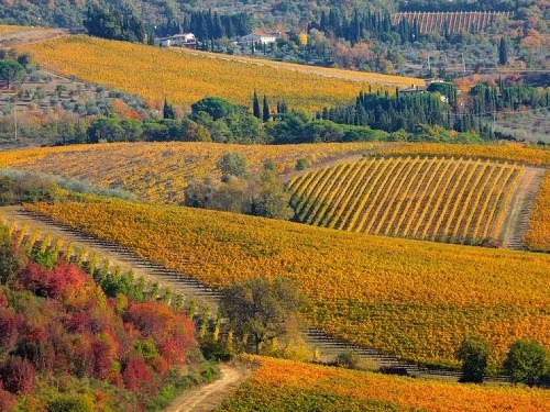 Chianti, Toskánsko, Taliansko