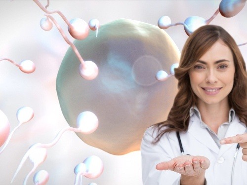 Spermie majú obrovskú silu, dokážu roztaviť povrch ženského vajíčka!