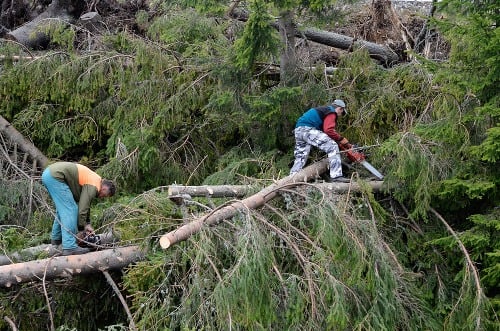 Práce na odstránení následkov silného vetra v Tatrách