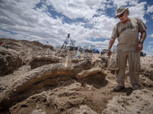 Paleontológ Gary Morgan stojí pri unikátnom náleze