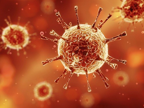 Vedci objavili vírus, ktorý má takmer polovica ľudí.