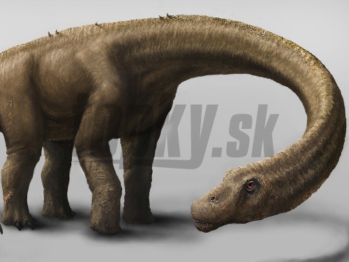 Našli sa kostrové pozostatky dosiaľ najväčšieho dinosaura