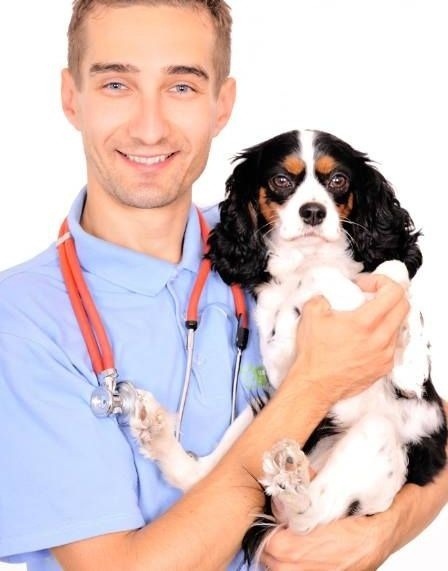 Peter Skladaný pôsobí ako veterinár v Ružinove