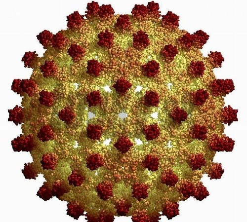 Hepatitída typu B