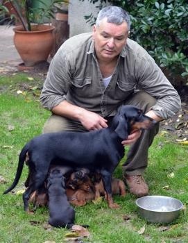 Majiteľ s novým plemenom psa- tatranský durič
