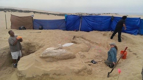 Sfinga odpočívala viac ako 90 rokov v piesku