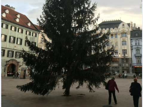 Vianočný stromček na Hlavnom námestí v Bratislave
