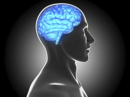 Aký vek má váš mozog?