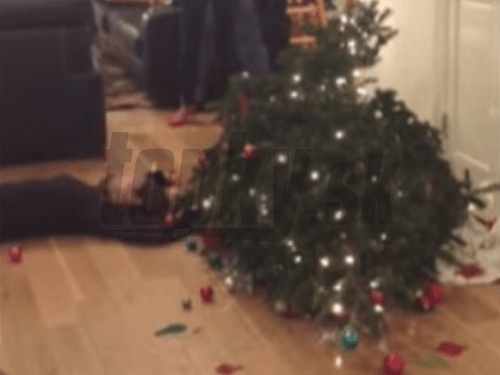 S opitou slečnou ležal na zemi aj vianočný stromček