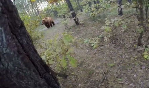 Medveď poriadne vydesil cyklistu, ten mal naozaj šťastie.
