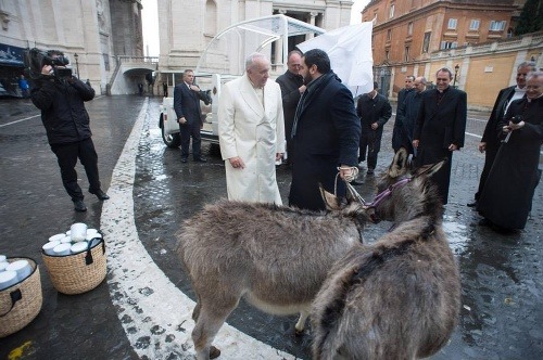 Pápež dostal do daru oslíky