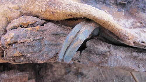 Ruka s náramkami vykopanej múmie 18-ročného dievčaťa