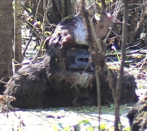 Údajný Bigfoot v močiari