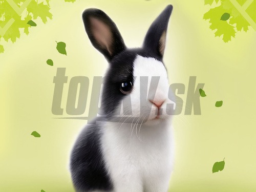 Ilustračný obrázok