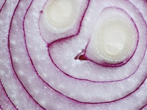 Cibuľa obsahuje množstvo prospešných látok, ktoré majú priaznivé účinky na ľudský organizmus. 