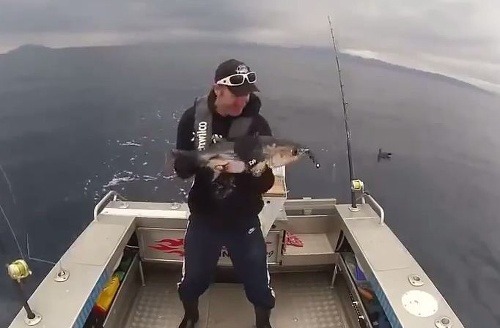 Rybár mal čo robiť, aby tuniaka udržal