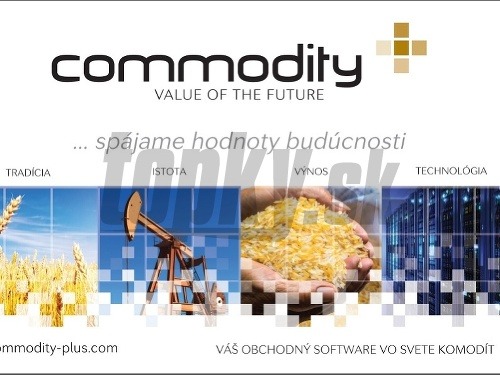 Ilustračný obrázok