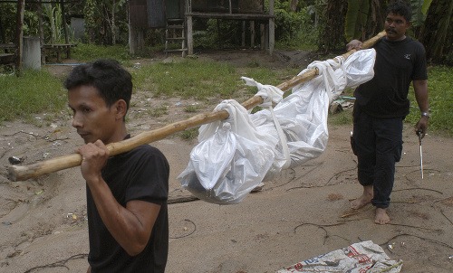 Polícia objavila 32 tiel v izolovanom tábore