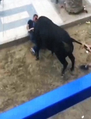 Býk sa do svojej obete pustil rohami.