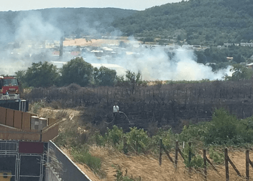 V Bratislave horí porast vinohradu  