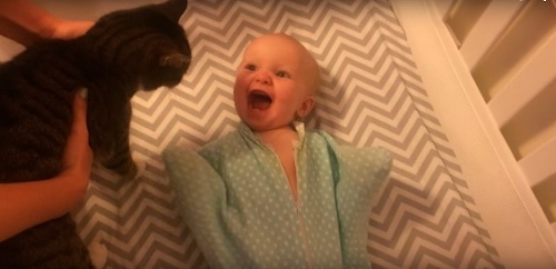 Ilustračný obrázok