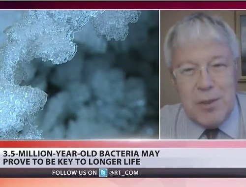 Stane sa ľudstvo vďaka baktérii zdravším a odolnejším?