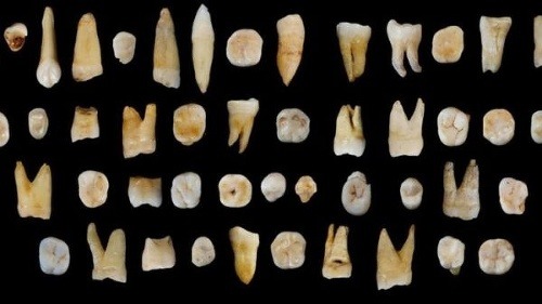 Pozostatky druhu homo sapiens v Číne