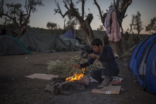 Utečenci kvôli ohňu olamujú stromy.