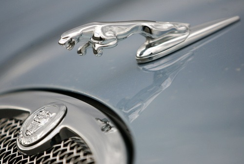Značka Jaguar má cveng.