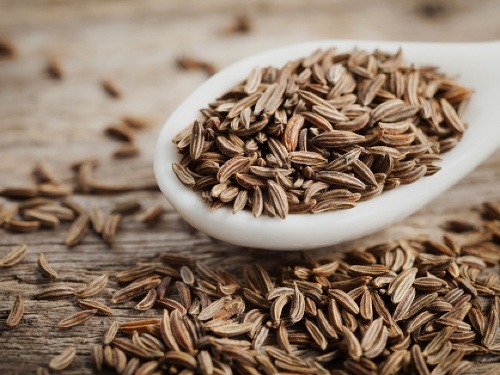 Rasca je jednou z najstarších korenín na území Európy