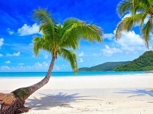 Silvester môže vyzerať i takto.