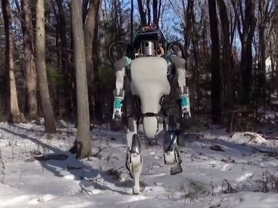 Robot zvládol aj chôdzu po nerovnom teréne.