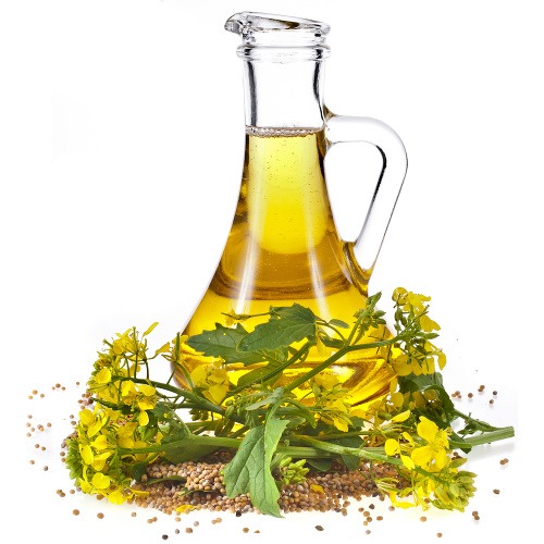 Ilustračný obrázok